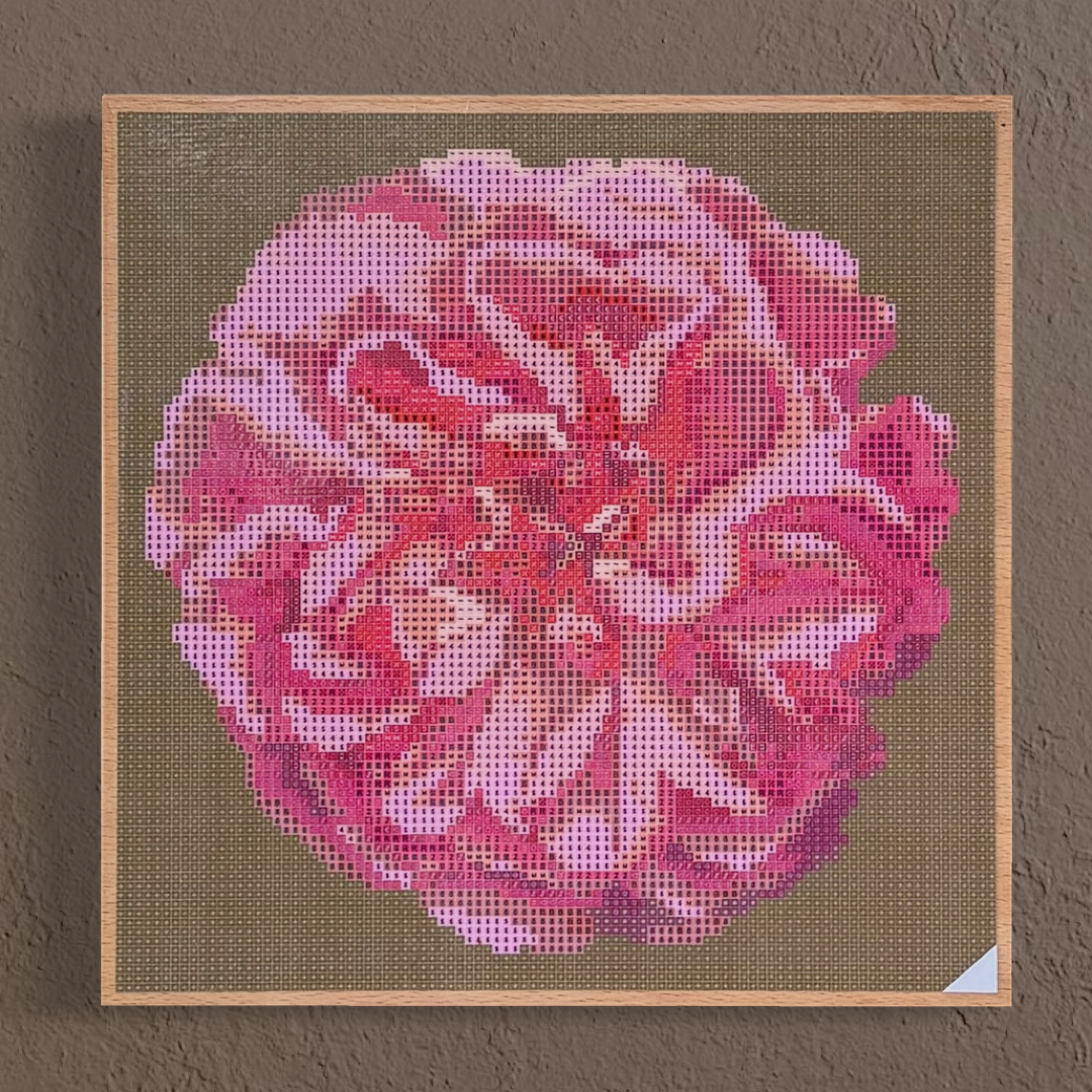 Wandansicht der Micromosaic-Vorlage 'apricot-rose-olive' auf stabilem Buchenholzkörper im Format 25x25x3 cm mit einem eleganten, farblos lackierten Naturholz-Rand. Das Motiv zeigt eine detaillierte Rosenblüte in verschiedenen Rosatönen vor einem monochrom oliv-farbenen Hintergrund. Inspiriert von Garten-Fotos. Das Kunstwerk enthält insgesamt 27 verschiedene Farbnuancen. Perfekt als stilvolle Wanddekoration oder als exklusives Geschenk für Kreative und Kunstliebhaber.