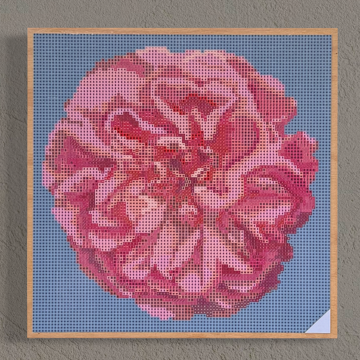 Wandansicht der Micromosaic-Vorlage 'apricot-rose-turquoise' auf stabilem Buchenholzkörper im Format 25x25x3 cm mit einem eleganten, farblos lackierten Naturholz-Rand. Das Motiv zeigt eine detaillierte Rosenblüte in verschiedenen Rosatönen vor einem monochrom türkis-farbenen Hintergrund. Inspiriert von Garten-Fotos. Das Kunstwerk enthält insgesamt 27 verschiedene Farbnuancen. Perfekt als stilvolle Wanddekoration oder als exklusives Geschenk für Kreative und Kunstliebhaber.