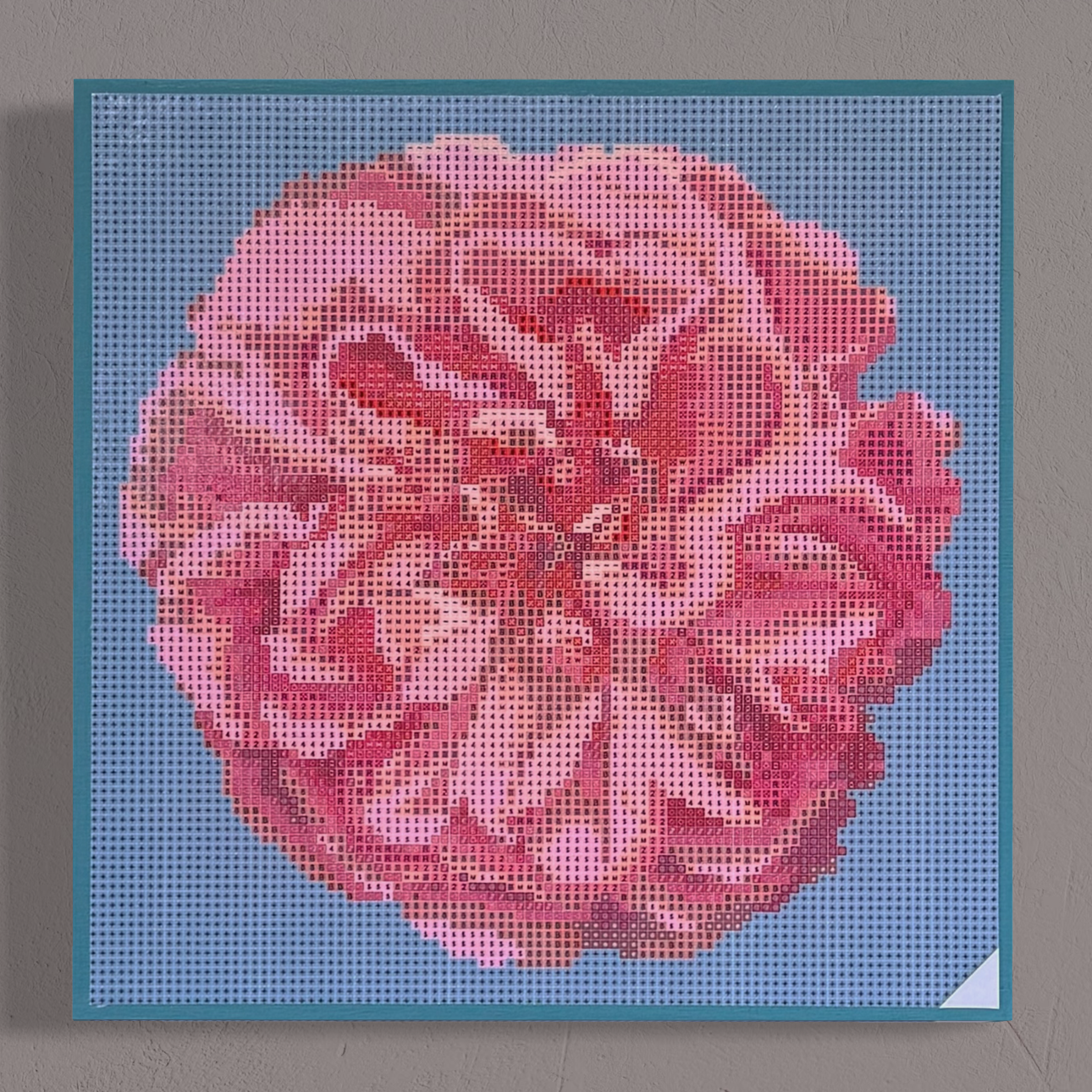 Wandansicht der Micromosaic-Vorlage 'apricot-rose-turquoise' auf stabilem Buchenholzkörper im Format 25x25x3 cm mit einem eleganten, mit Kreidefarbe gestalteten Rand. Das Motiv zeigt eine detaillierte Rosenblüte in verschiedenen Rosatönen vor einem monochrom türkis-farbenen Hintergrund. Inspiriert von Garten-Fotos. Das Kunstwerk enthält insgesamt 27 verschiedene Farbnuancen. Perfekt als stilvolle Wanddekoration oder als exklusives Geschenk für Kreative und Kunstliebhaber.