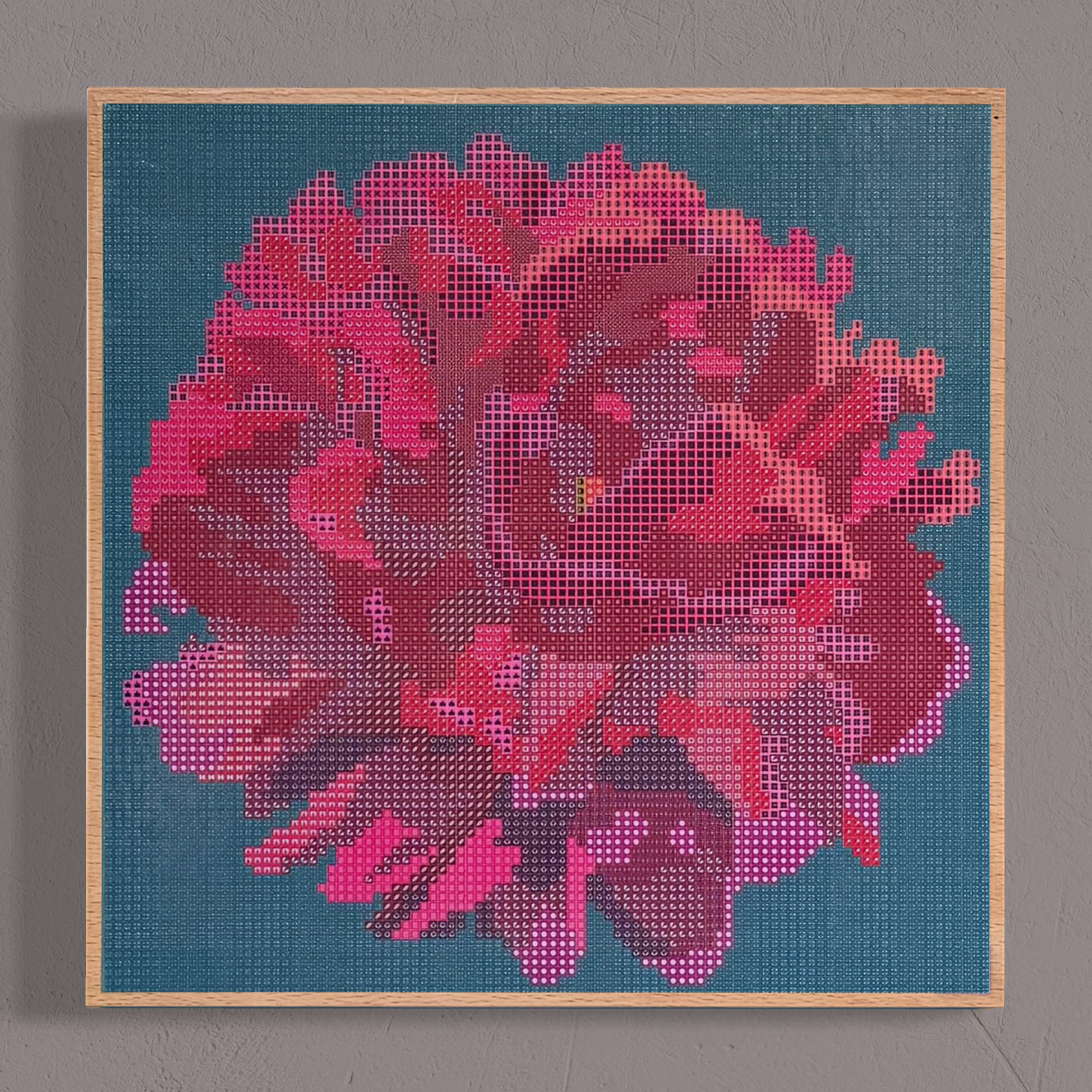 Wandansicht der Micromosaic-Vorlage 'peony-petrol' auf stabilem Buchenholzkörper im Format 25x25x3 cm mit einem eleganten, farblos lackierten Naturholz-Rand. Das Motiv zeigt eine detaillierte Pfingstrosen-Blüte in verschiedenen Rosa- und Rotttönen vor einem monochrom petrol-farbenen Hintergrund. Inspiriert von Garten-Fotos. Das Kunstwerk enthält insgesamt 22 verschiedene Farbnuancen. Perfekt als stilvolle Wanddekoration oder als exklusives Geschenk für Kreative und Kunstliebhaber.