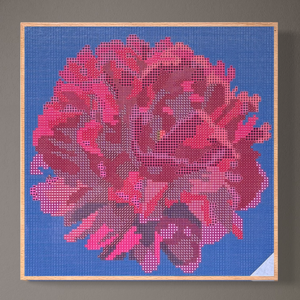 Wandansicht der Micromosaic-Vorlage 'peony-darkblue' auf stabilem Buchenholzkörper im Format 25x25x3 cm mit einem eleganten, farblos lackierten Naturholz-Rand. Das Motiv zeigt eine detaillierte Pfingstrosen-Blüte in verschiedenen Rosa- und Rotttönen vor einem monochrom dunkelblauen Hintergrund. Inspiriert von Garten-Fotos. Das Kunstwerk enthält insgesamt 22 verschiedene Farbnuancen. Perfekt als stilvolle Wanddekoration oder als exklusives Geschenk für Kreative und Kunstliebhaber.