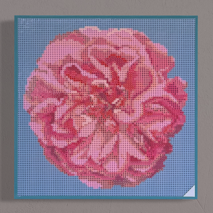 Wandansicht der Micromosaic-Vorlage 'apricot-rose-turquoise' auf stabilem Buchenholzkörper im Format 25x25x3 cm mit einem eleganten, mit Kreidefarbe gestalteten Rand. Das Motiv zeigt eine detaillierte Rosenblüte in verschiedenen Rosatönen vor einem monochrom türkis-farbenen Hintergrund. Inspiriert von Garten-Fotos. Das Kunstwerk enthält insgesamt 27 verschiedene Farbnuancen. Perfekt als stilvolle Wanddekoration oder als exklusives Geschenk für Kreative und Kunstliebhaber.