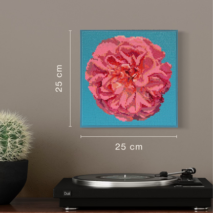 Apricot Rose turquoise