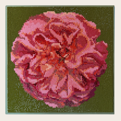 Apricot Rose olive