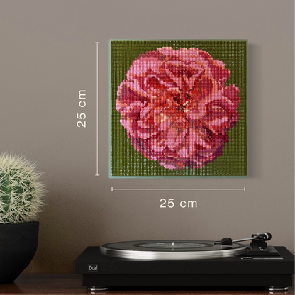 Apricot Rose olive