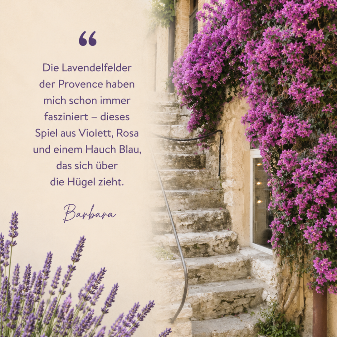 STEINCHEN-SET | LAVENDELFELD