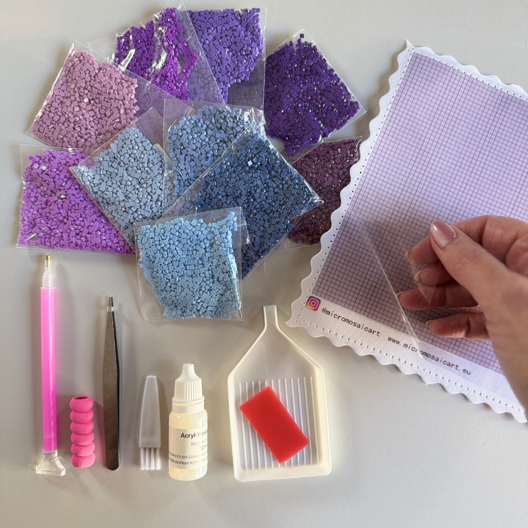 Mini-Starter-Set mit Farbklang Lavendelfeld